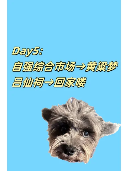 别挤热门景点 北京邯郸5天自 驾还宠物友好