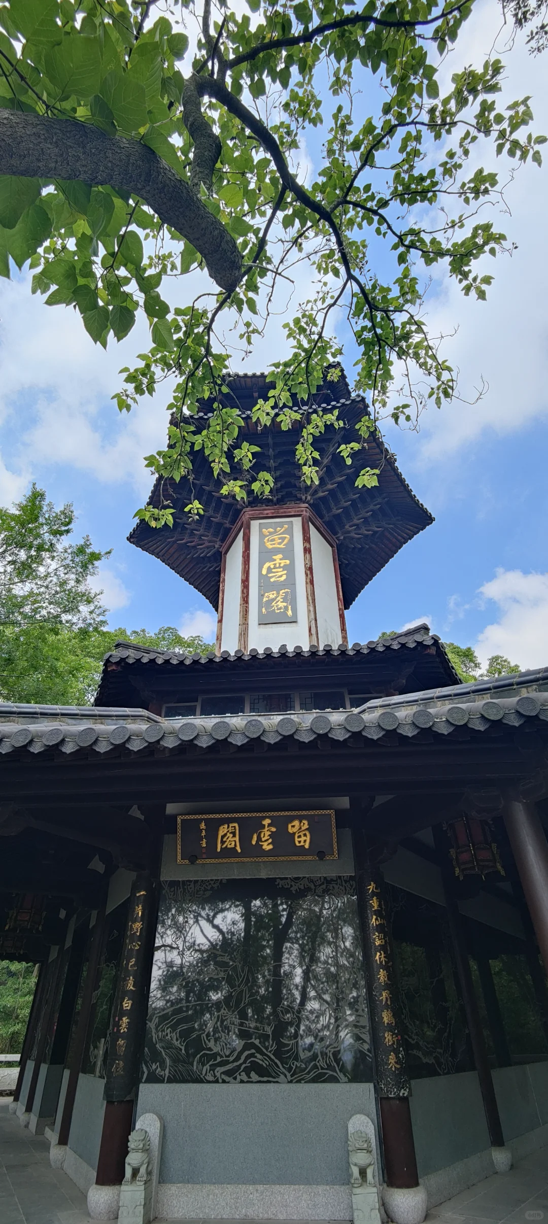 属于上海的小众天然氧吧