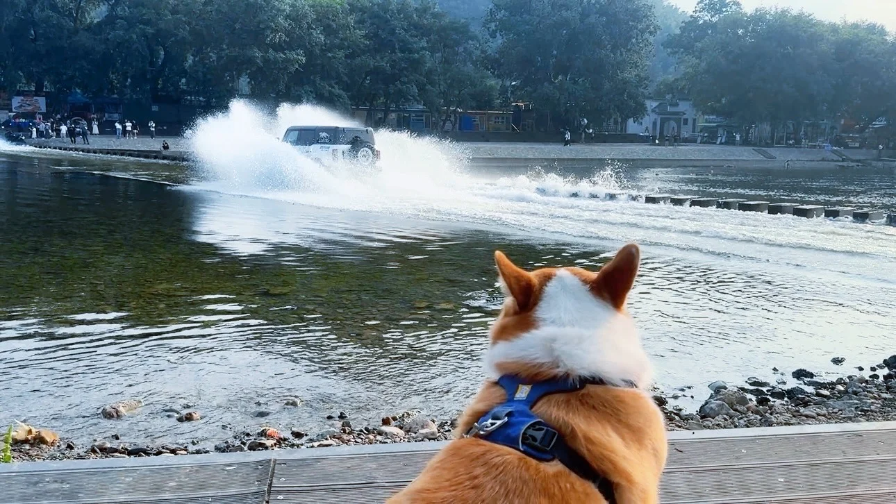 江浙沪周边带狗旅行之宣城