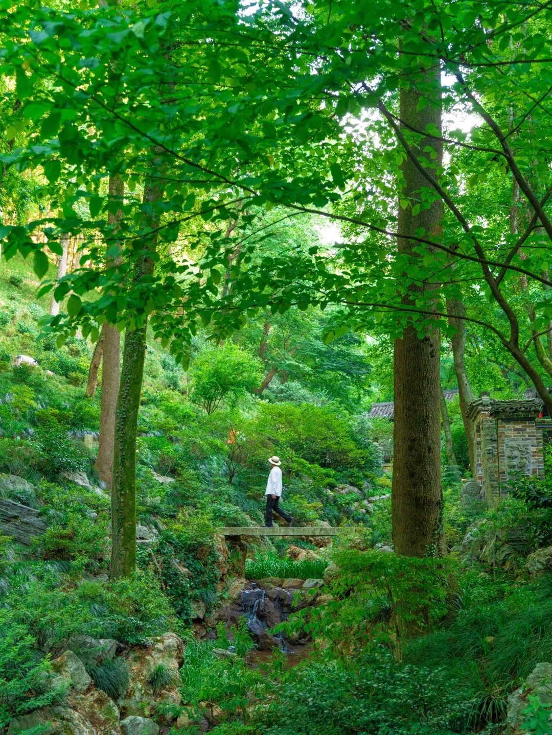 比起苏杭，我更喜爱这个夏日避暑小镇🪷