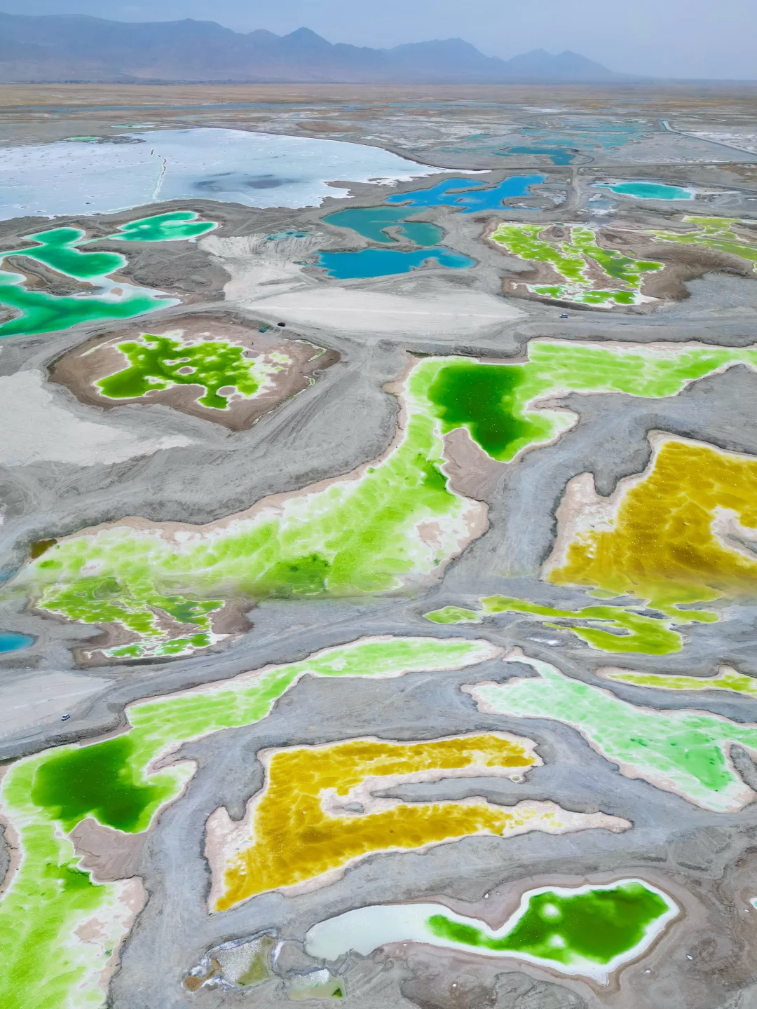 live）终于理解！为什么要夏天来大西北！！！