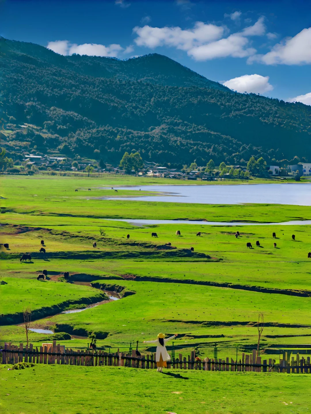 云南丽江📍文海村❗记住这个美好的地方❗