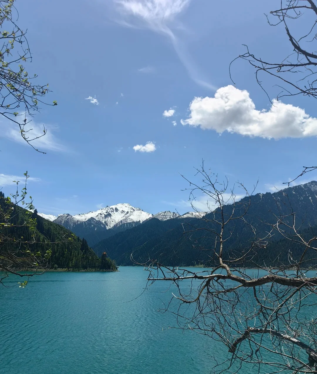 🌿端午限定！天山天池保姆级攻略