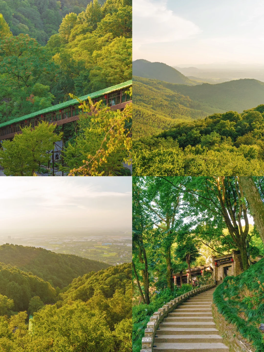 比起苏杭，我更喜爱这个夏日避暑小镇🪷