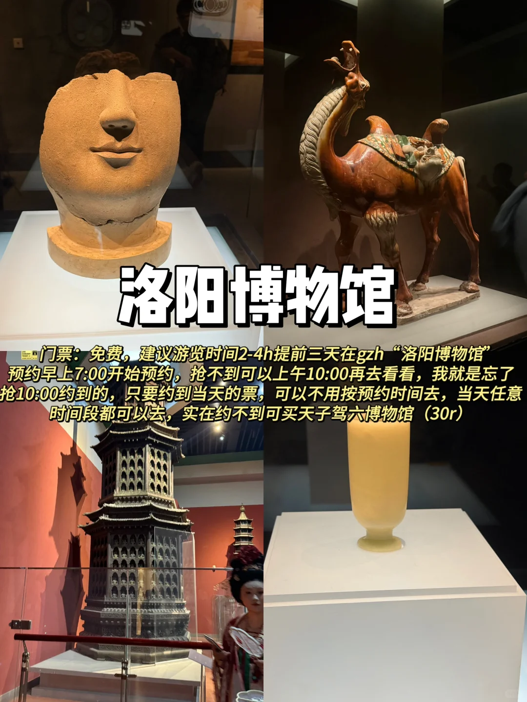 《洛阳两天一晚》打工人周末特种兵超详细攻!