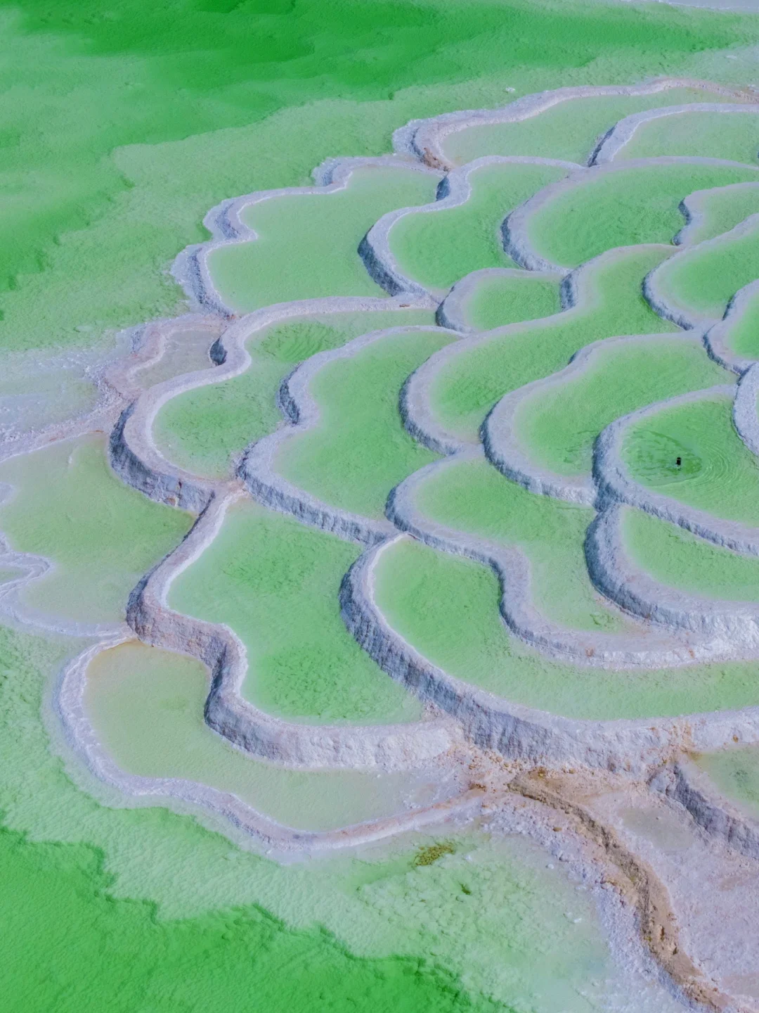 不是国外❗️是大西北‼️朋友圈问疯了🤣