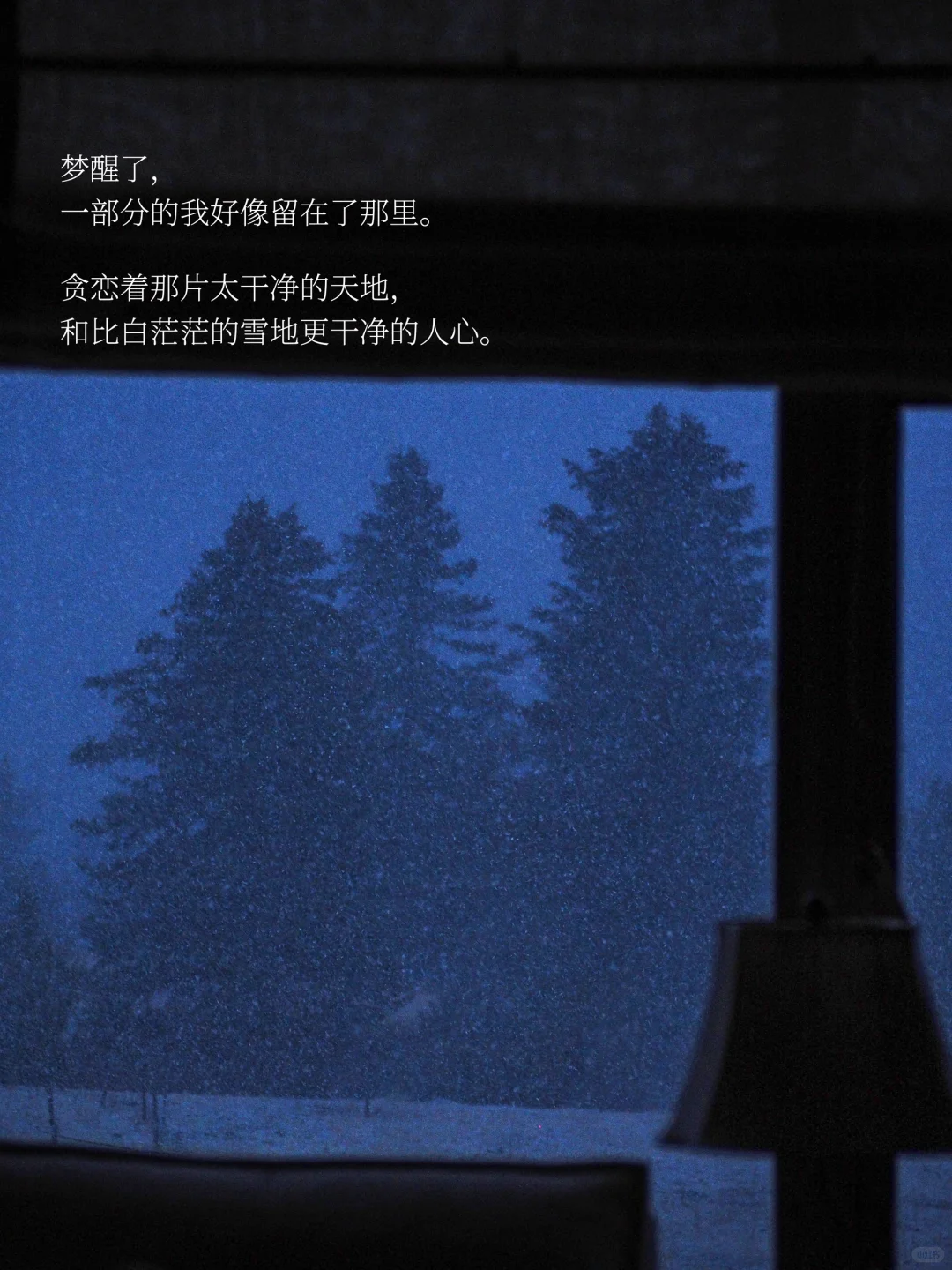 是谁在川西，大梦一场，不肯说再见