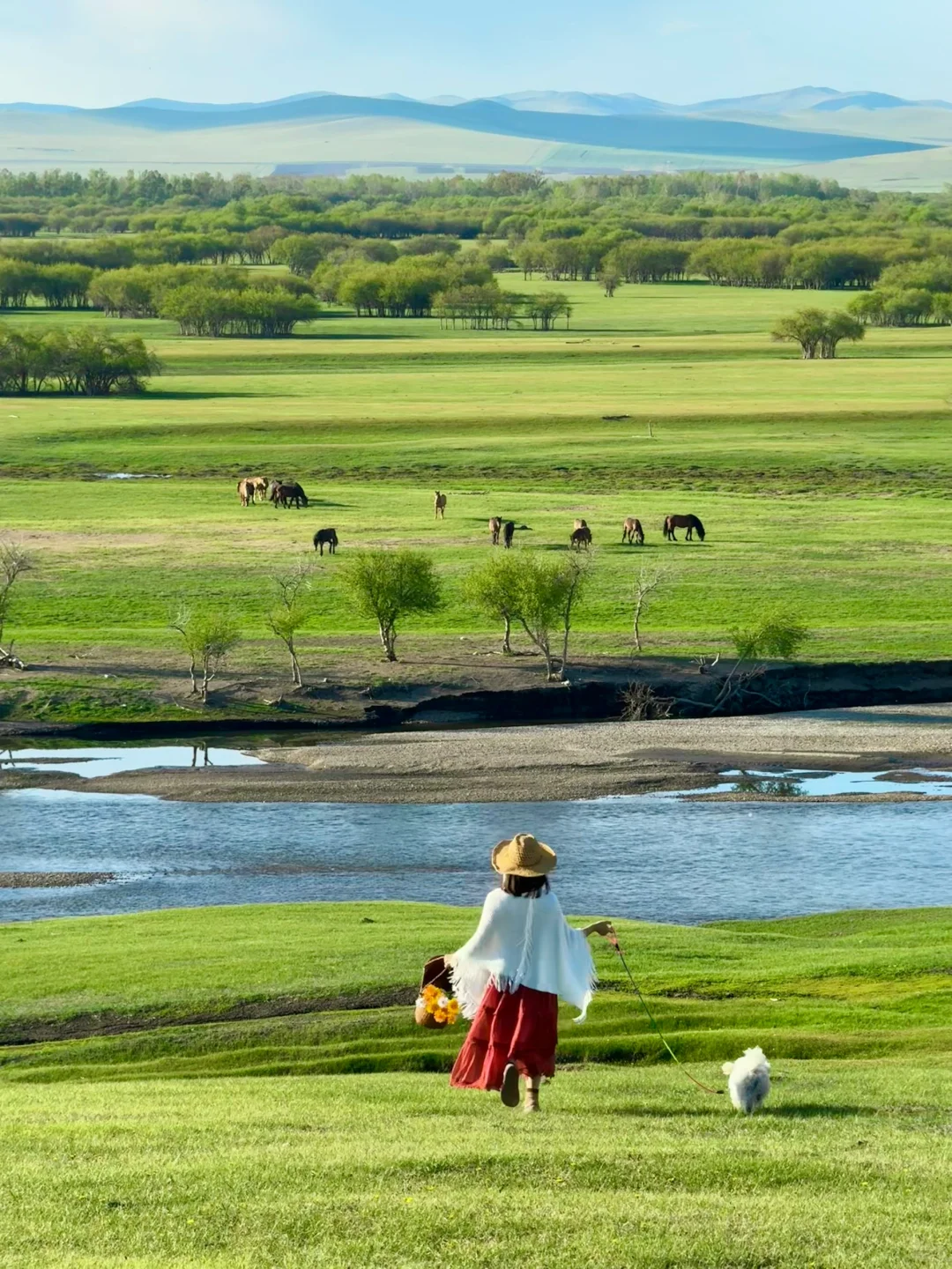 live呼伦贝尔这本书🐶小狗我呀又多读了一页