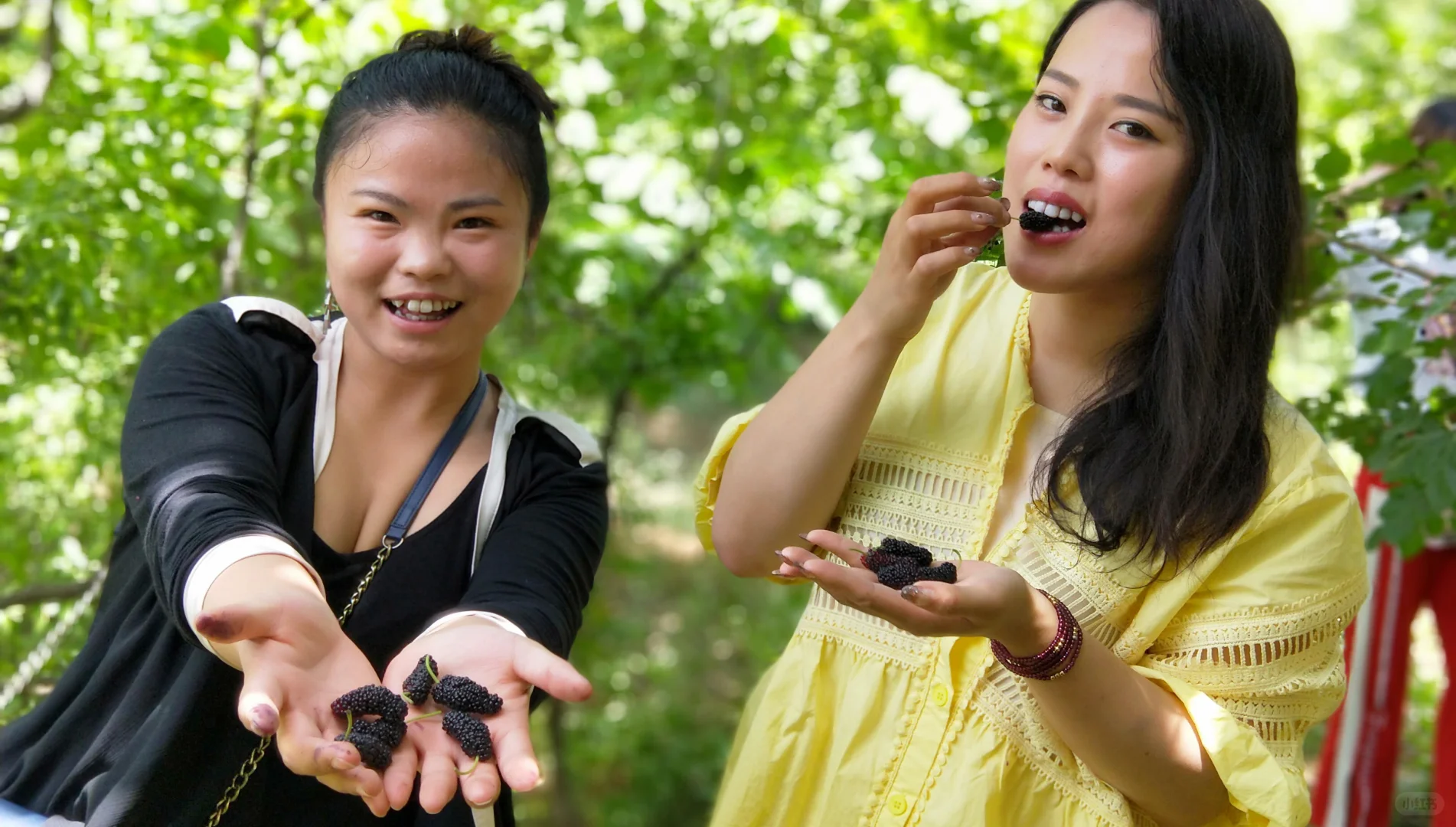 这里的风景真的太治愈了🍃