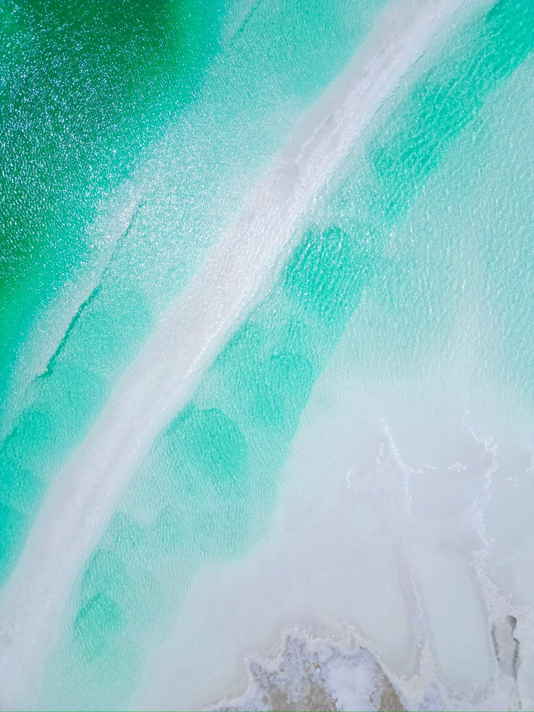 live）终于理解！为什么要夏天来大西北！！！