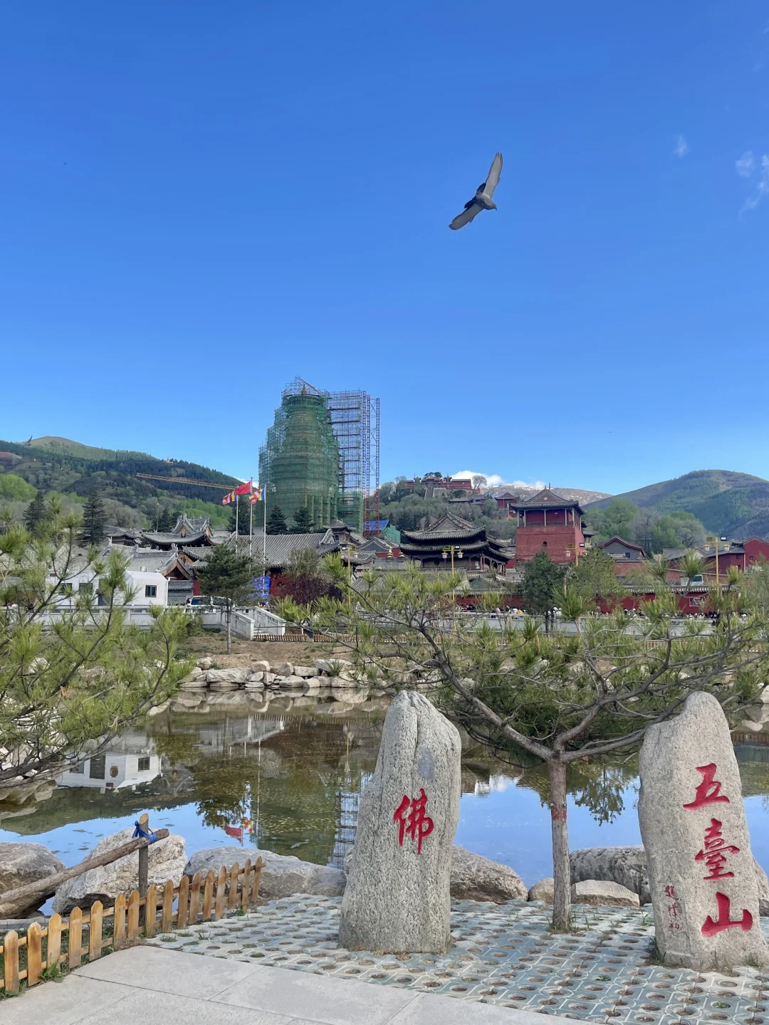 五台山 | 一半佛国一半山野