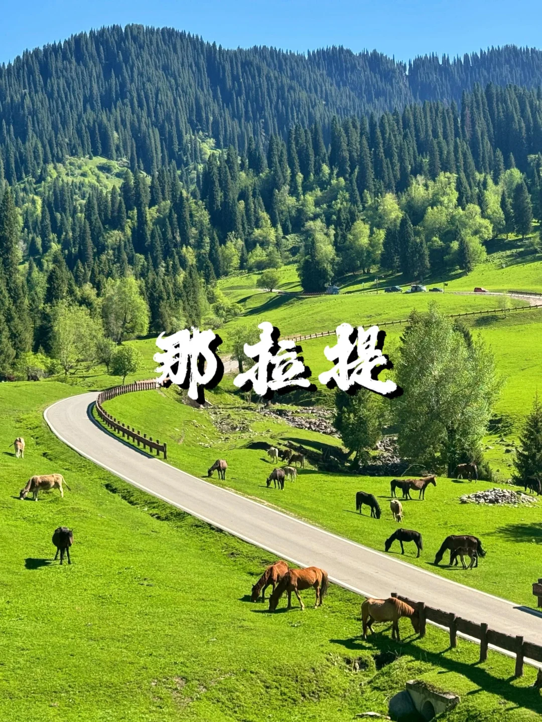 6-8月游新疆┃伊犁轻奢9日游人均仅💰5k✚