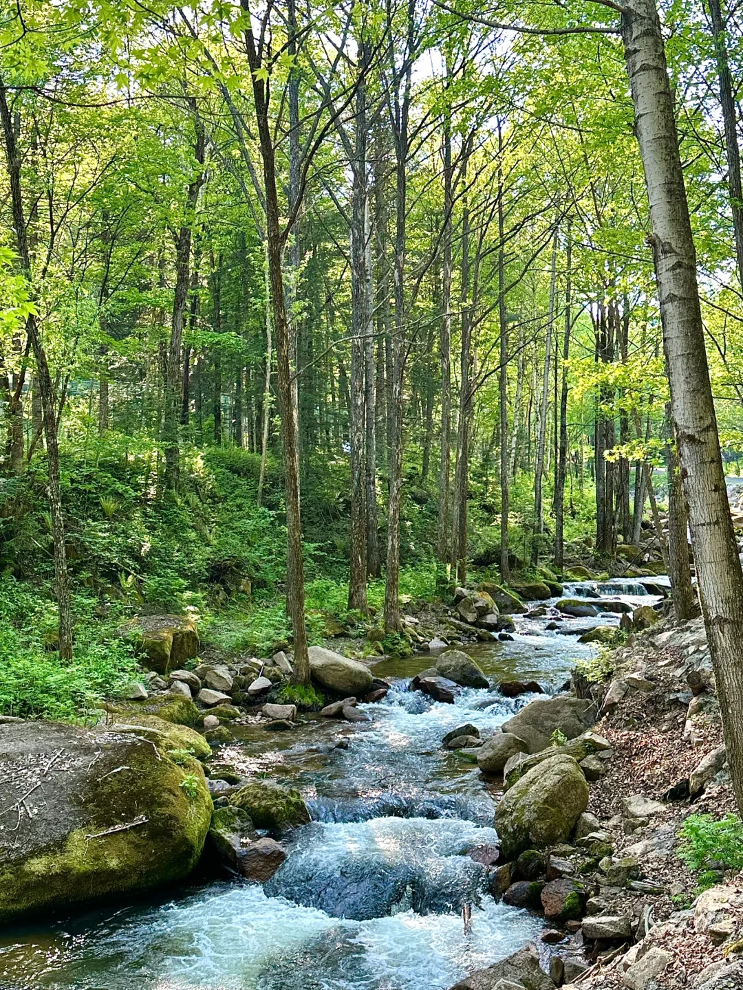 哈尔滨周边|鸳鸯峰一日游保姆级攻略🚗