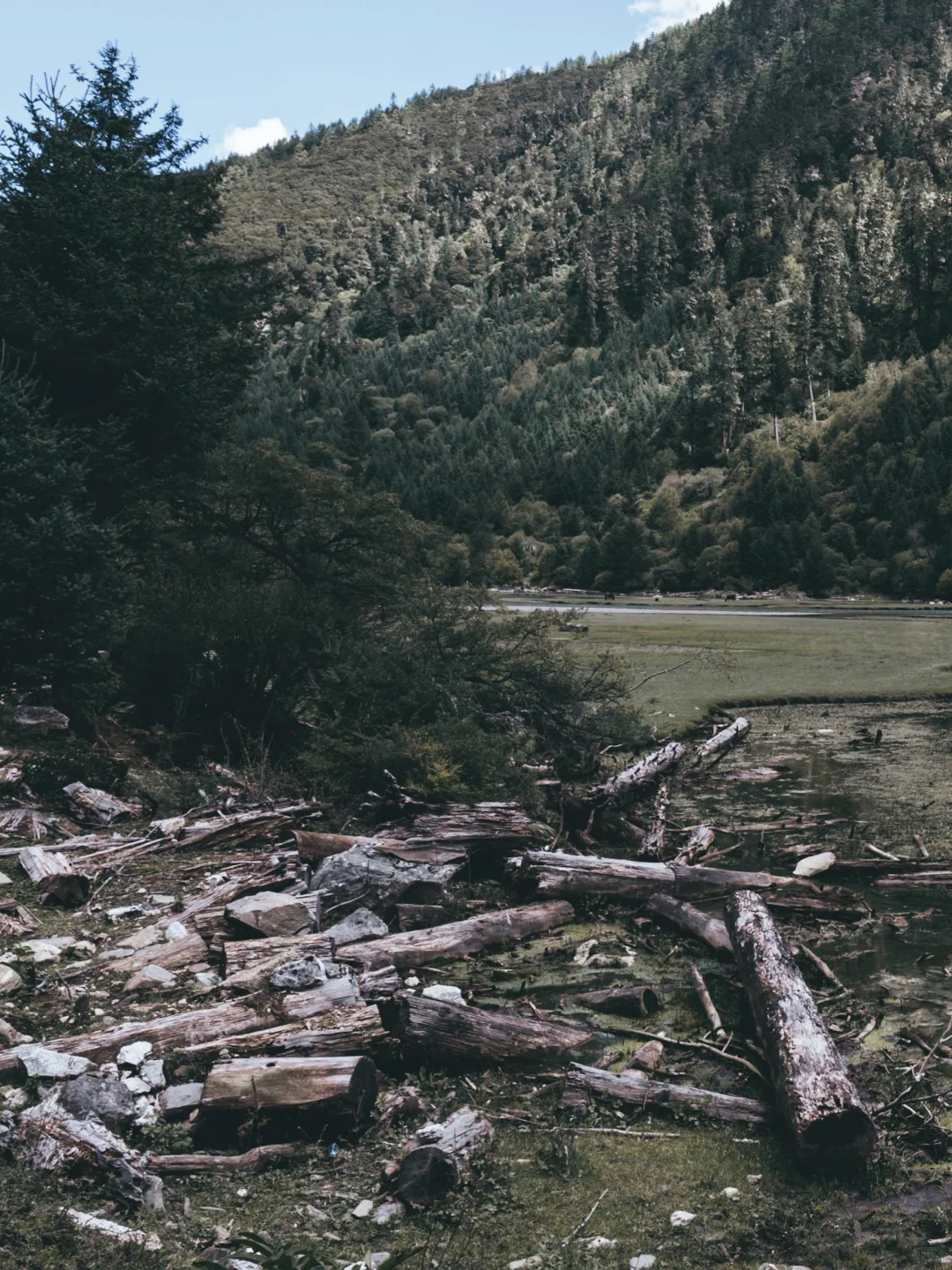 闯入现实版绿野仙踪🌿川西月亮湖绝美徒步⛰️
