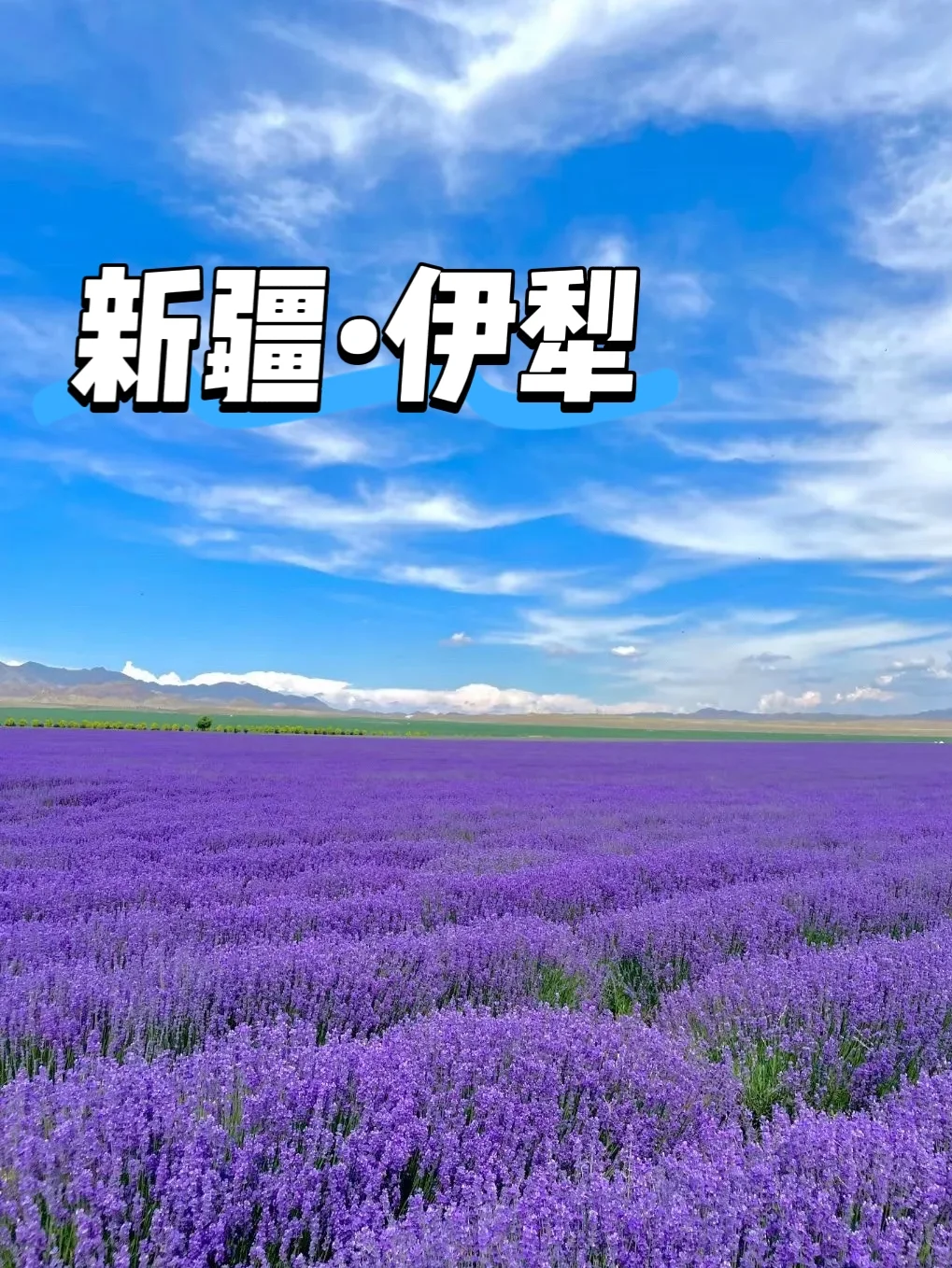 六月国内旅游天花板