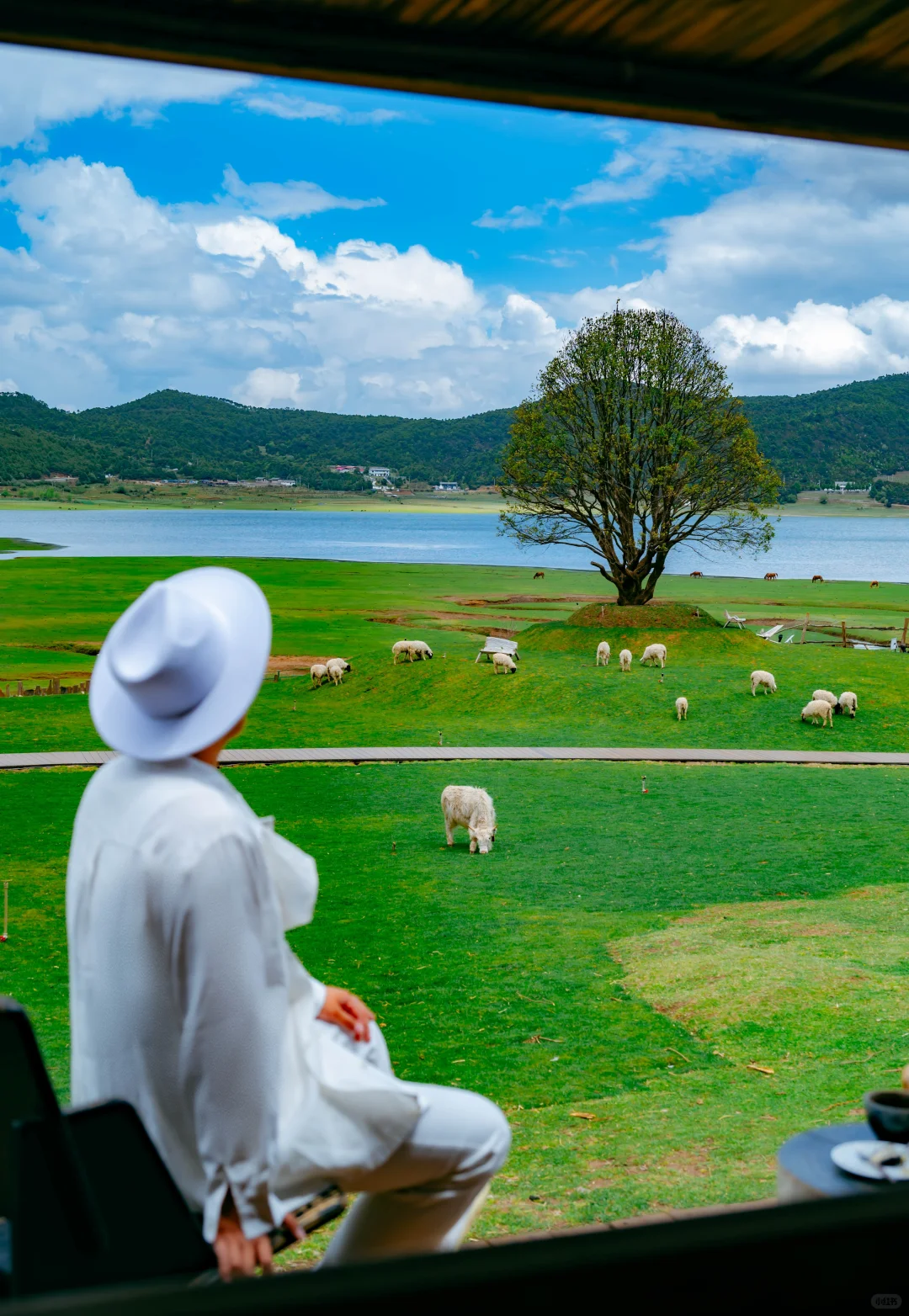 云南丽江📍文海村❗记住这个美好的地方❗