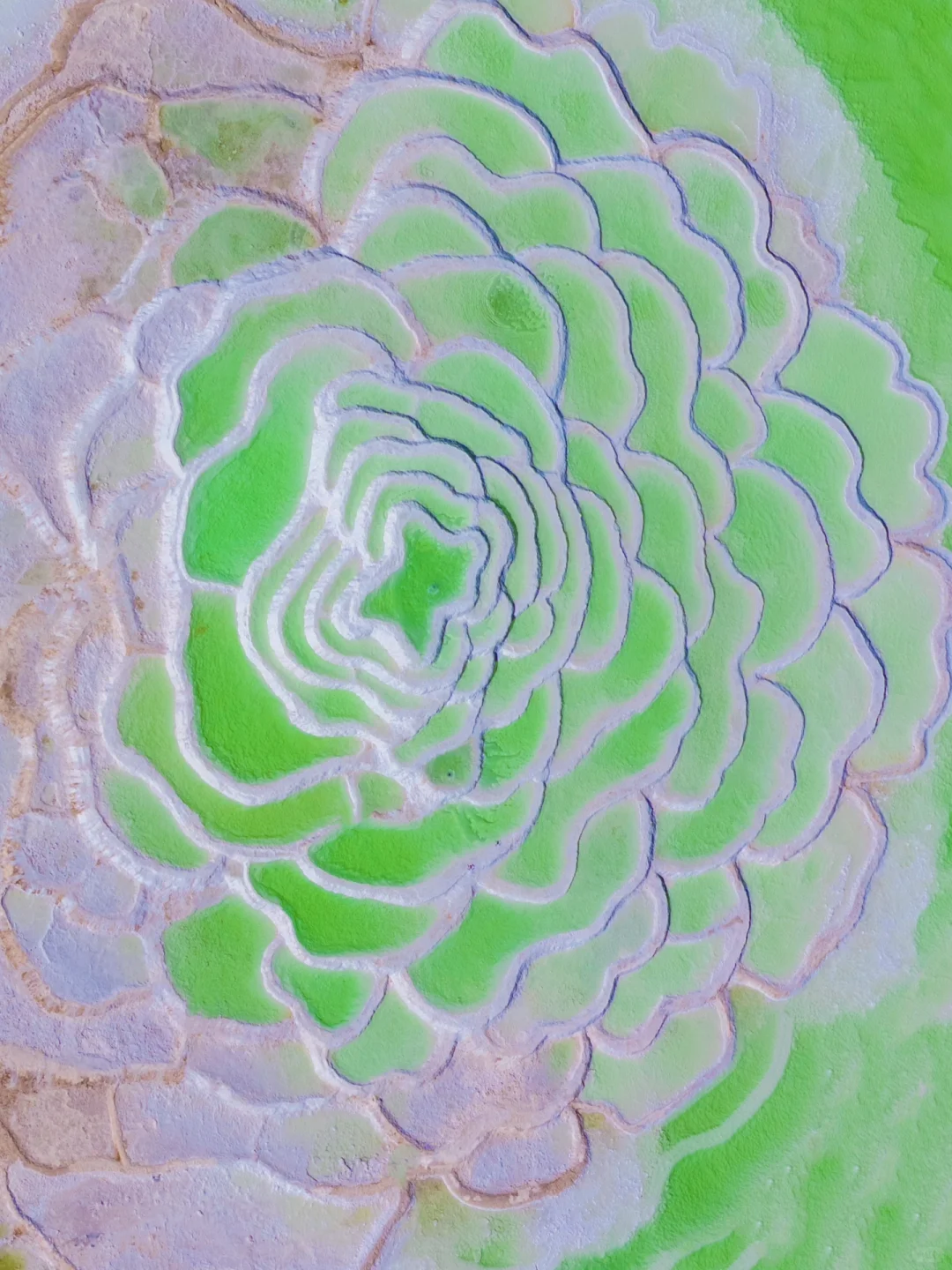 不是国外❗️是大西北‼️朋友圈问疯了🤣