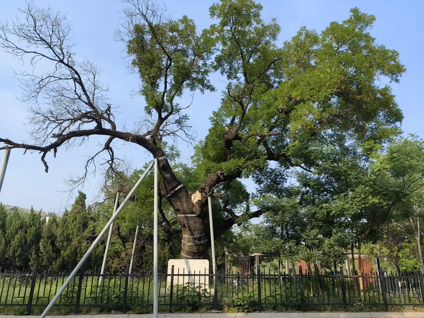 历史，从来没有离我这么近