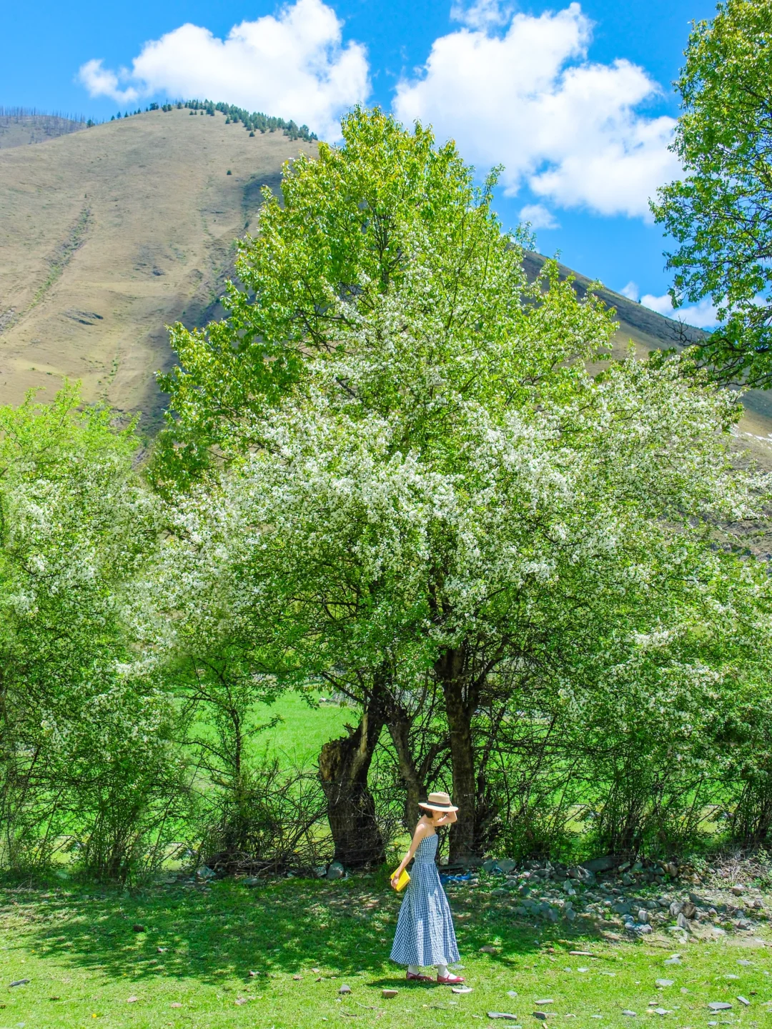接下来的川西真的不需要滤镜。。。美晕了!!😭
