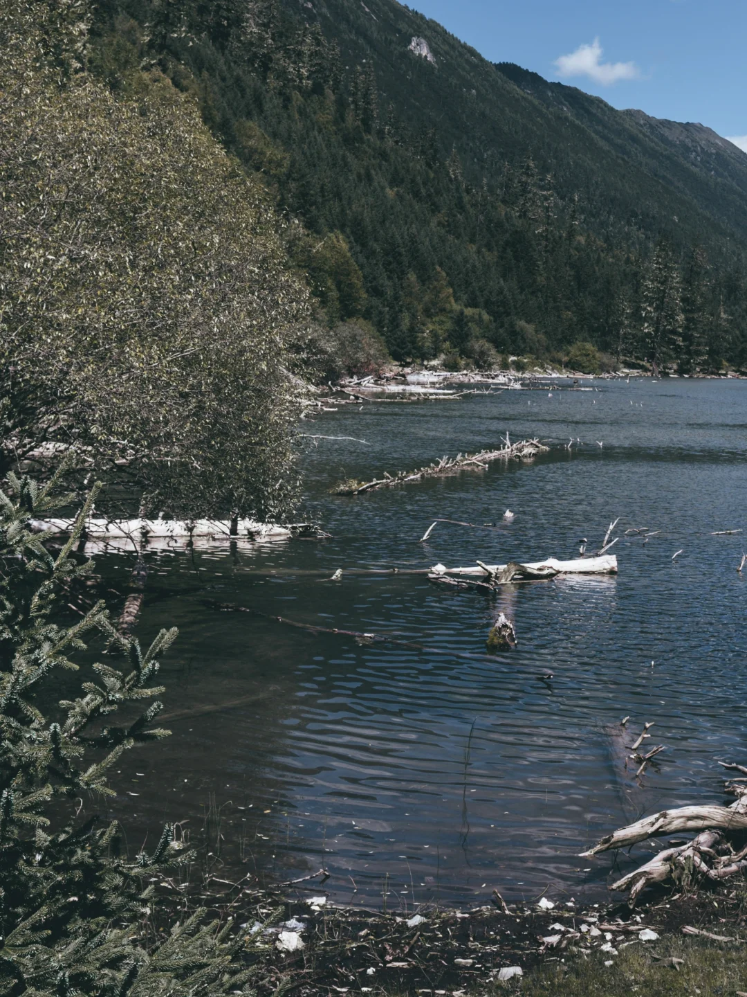 闯入现实版绿野仙踪🌿川西月亮湖绝美徒步⛰️