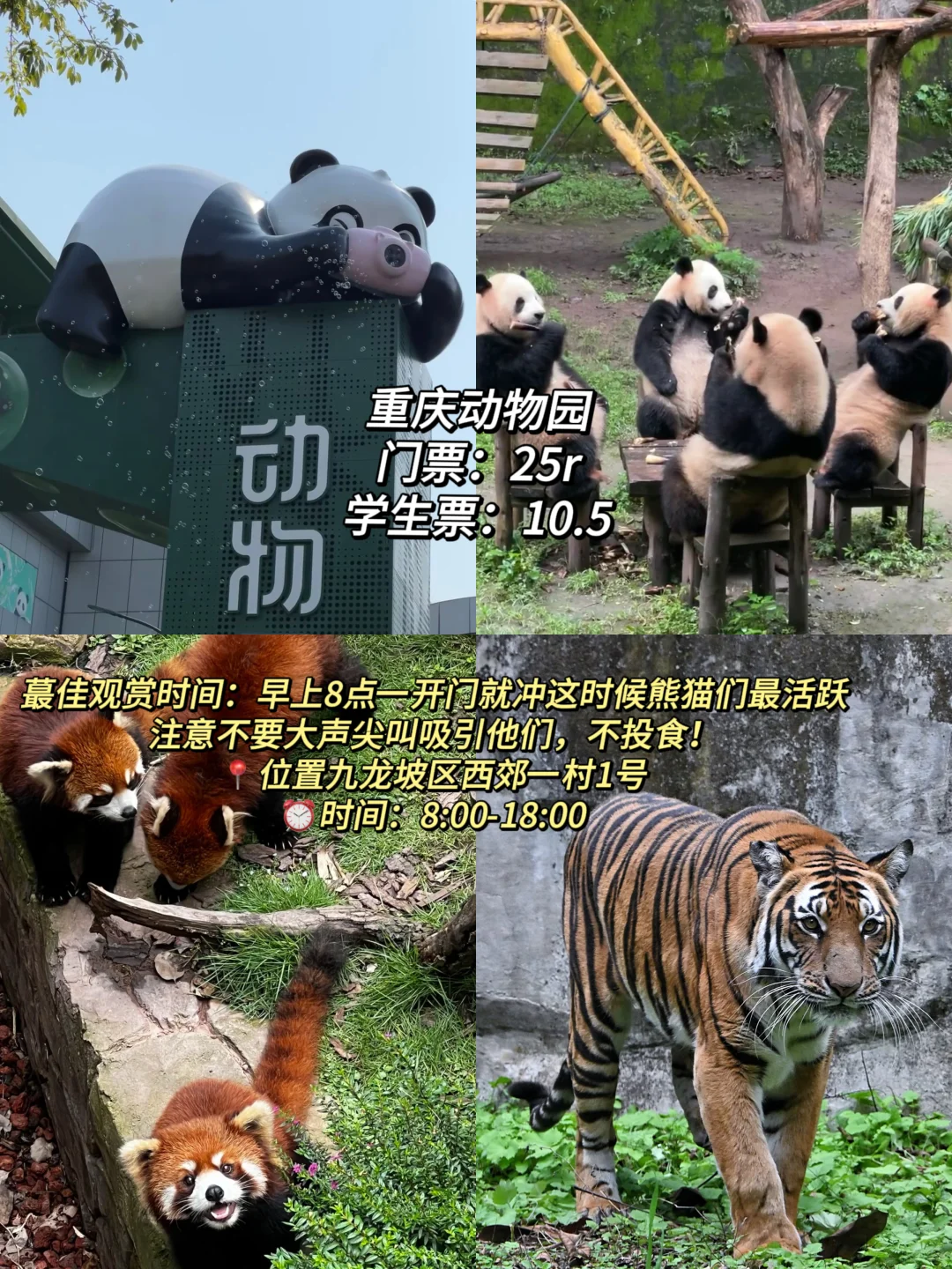 大学4年不要浪费你的学生证！（重庆旅游篇