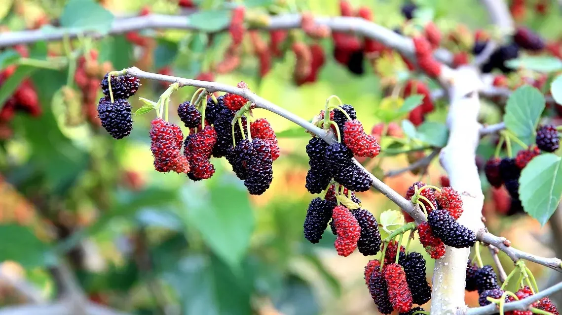这里的风景真的太治愈了🍃