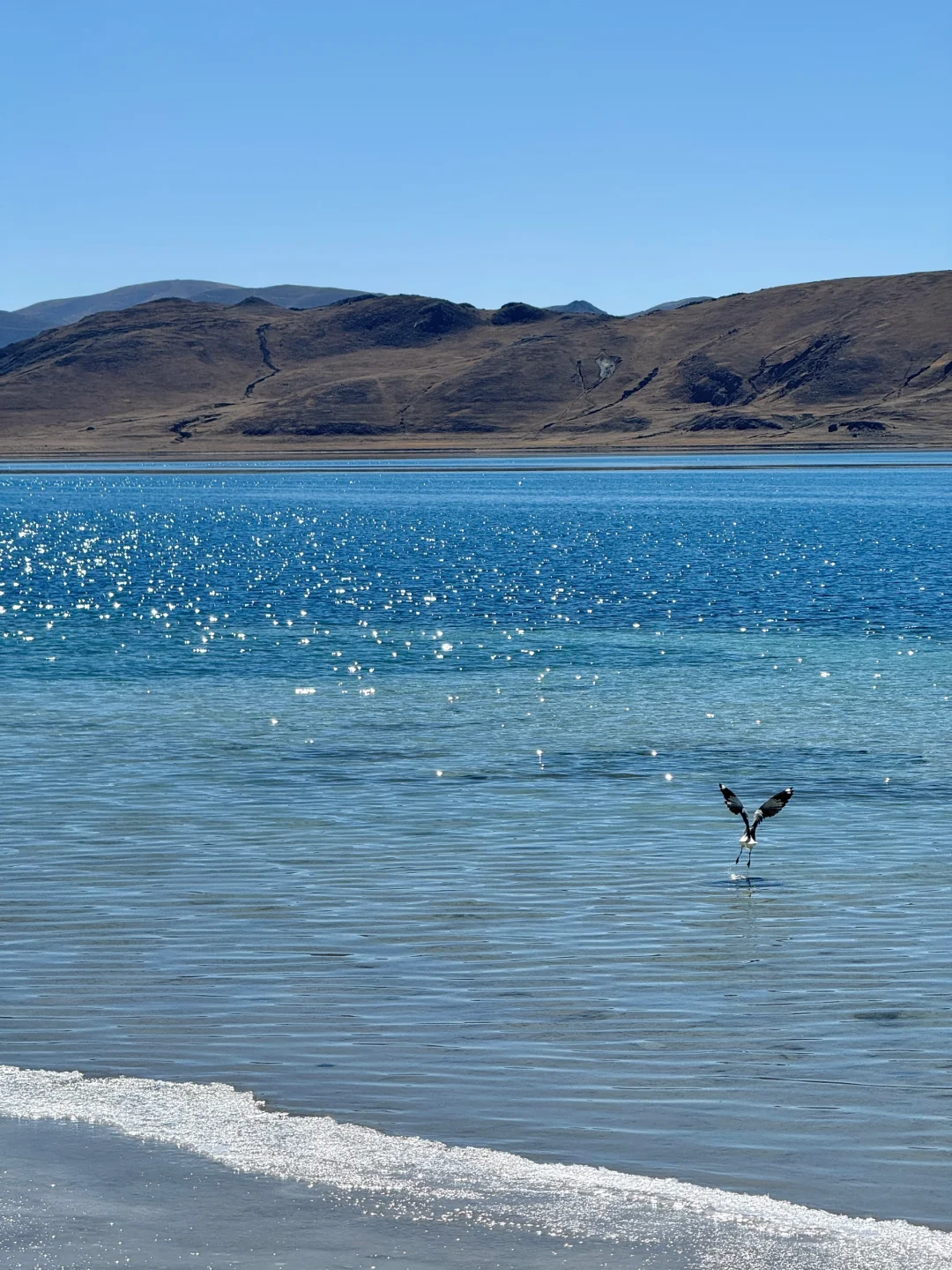 再没一个地方,可以像西藏一样让我热泪盈眶