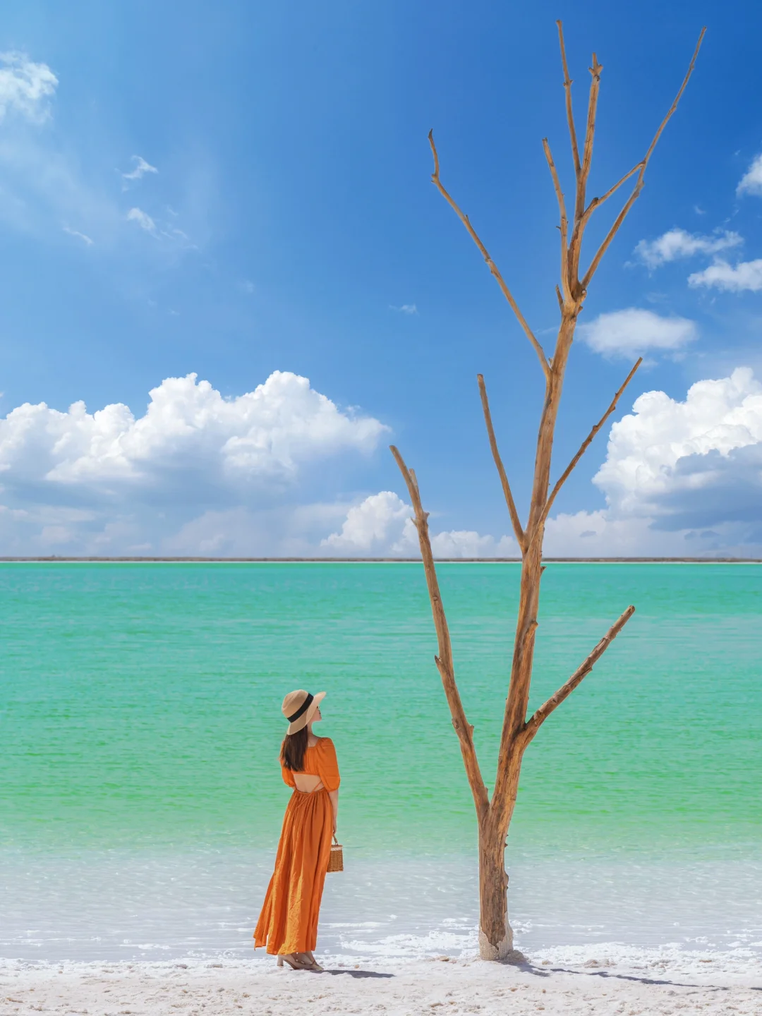 不是国外❗️是大西北‼️朋友圈问疯了🤣