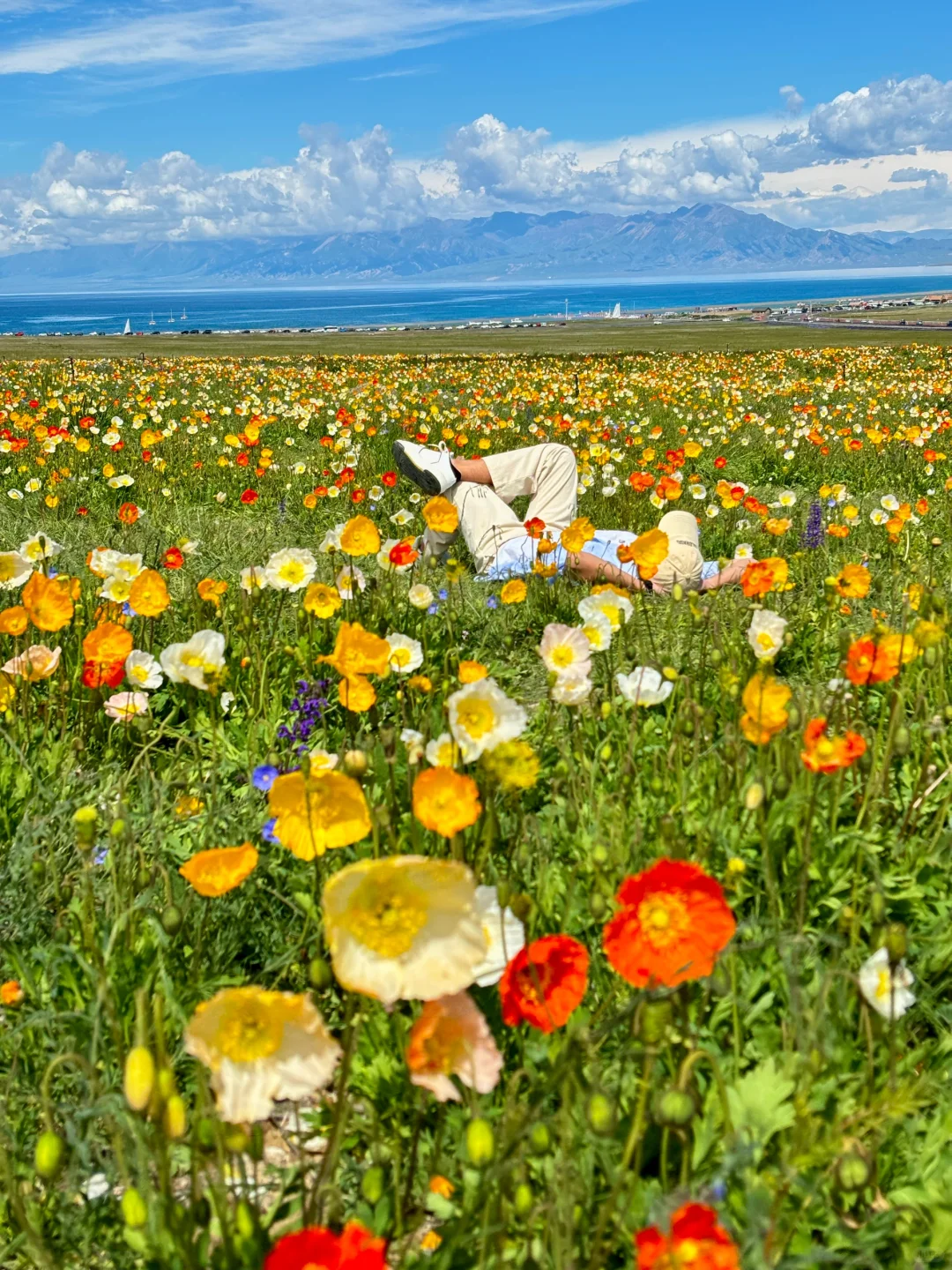 我的生命就应该浪费在这种地方……🍃