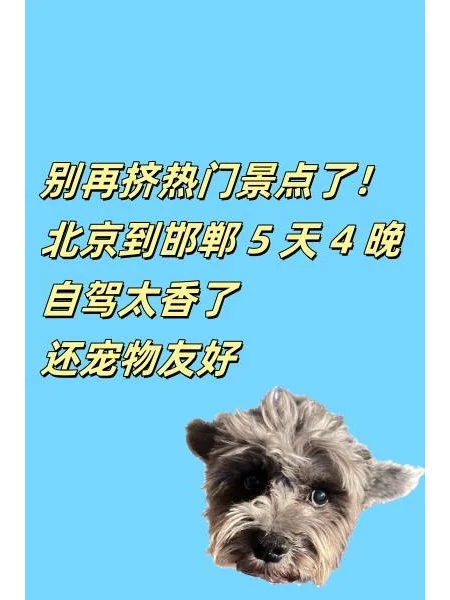 别挤热门景点 北京邯郸5天自 驾还宠物友好