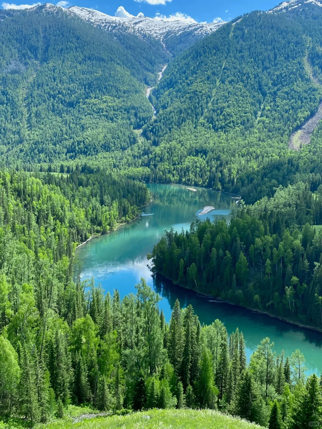 接下来的新疆，一定会刷新你对夏天的想象❗