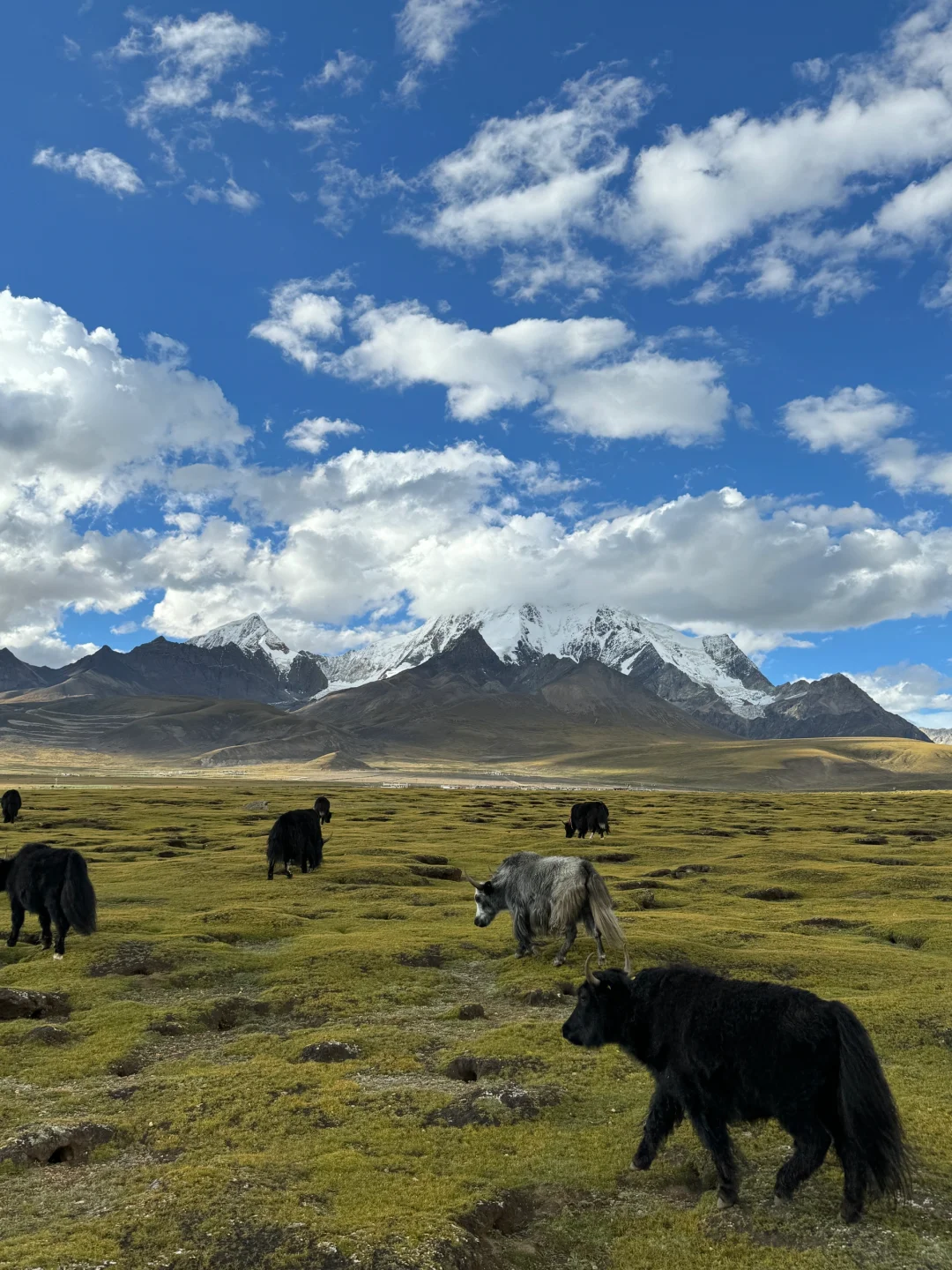 再没一个地方,可以像西藏一样让我热泪盈眶