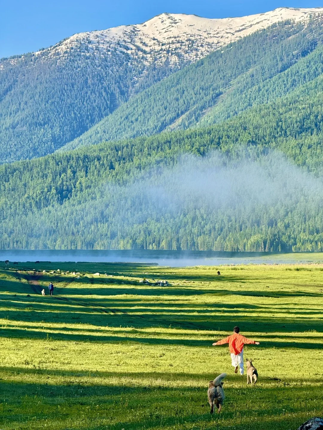 接下来的新疆，一定会刷新你对夏天的想象❗