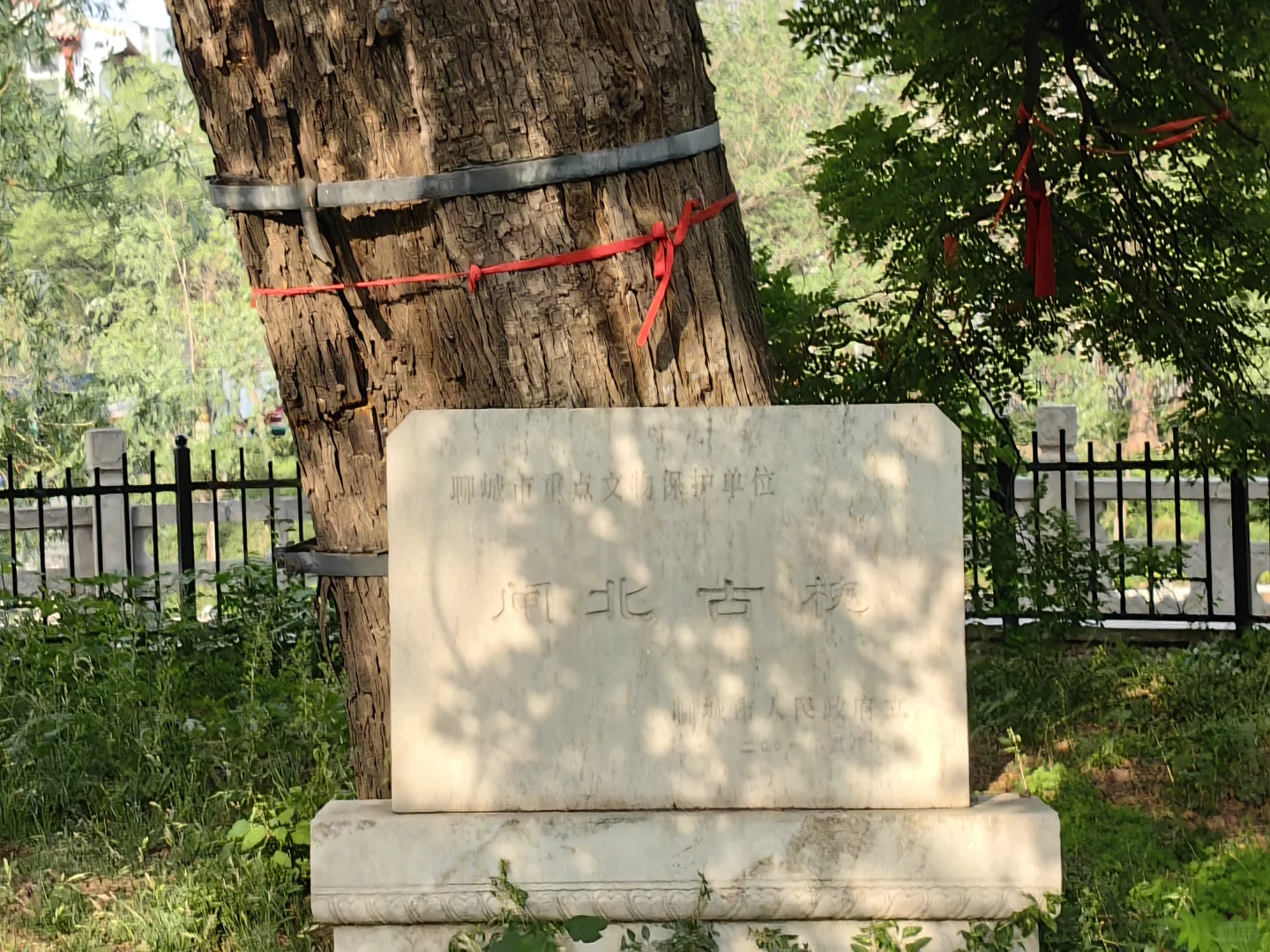 历史，从来没有离我这么近