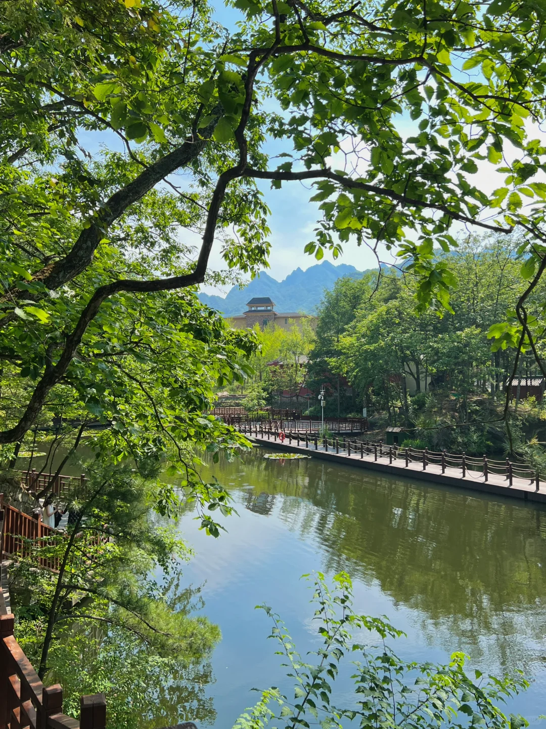 洛阳这个地方还是被严重低估了！！！