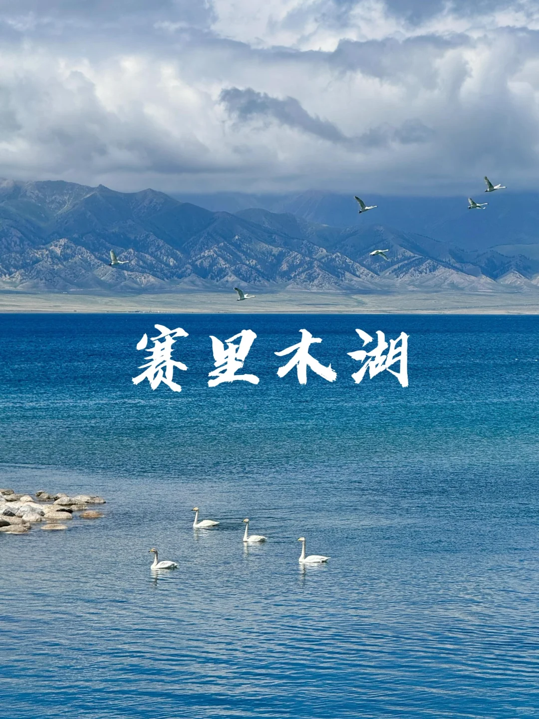 6-8月游新疆┃伊犁轻奢9日游人均仅💰5k✚