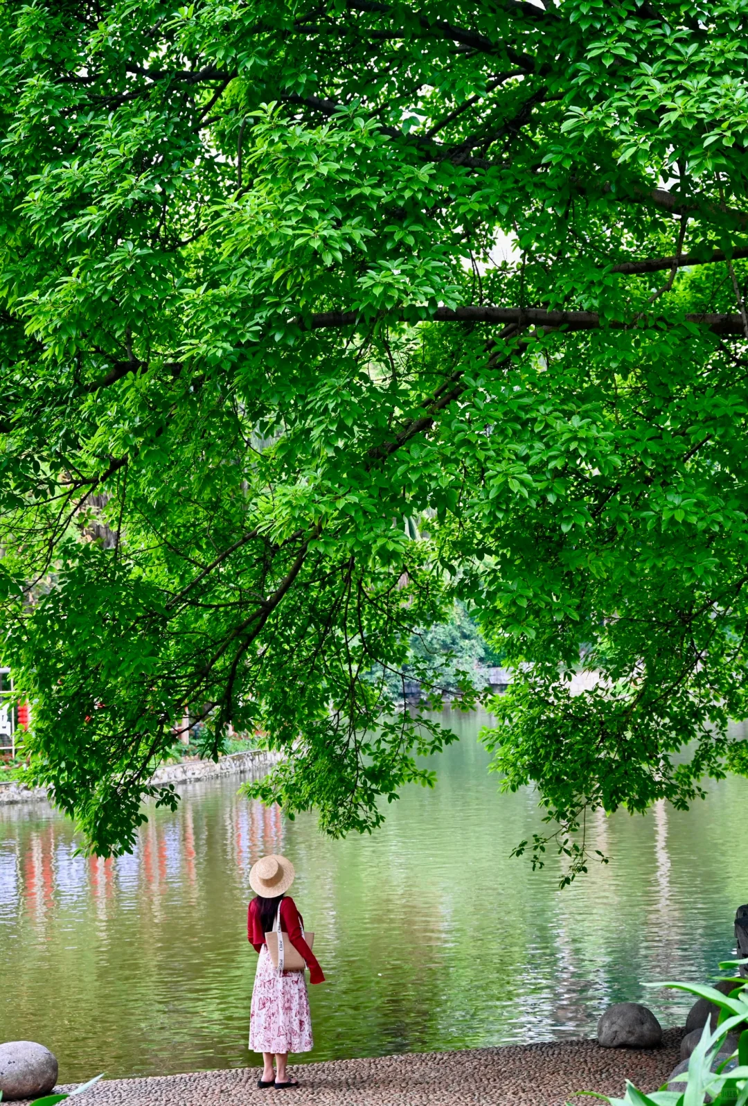 为了这18张图，我特意飞了趟柳州。。。