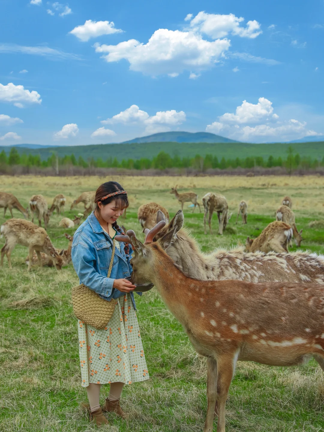 实话虽难听 这就是5月6月呼伦贝尔旅游现状