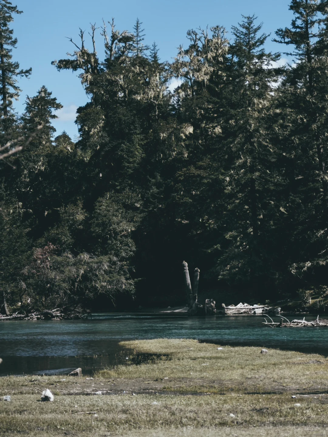 闯入现实版绿野仙踪🌿川西月亮湖绝美徒步⛰️
