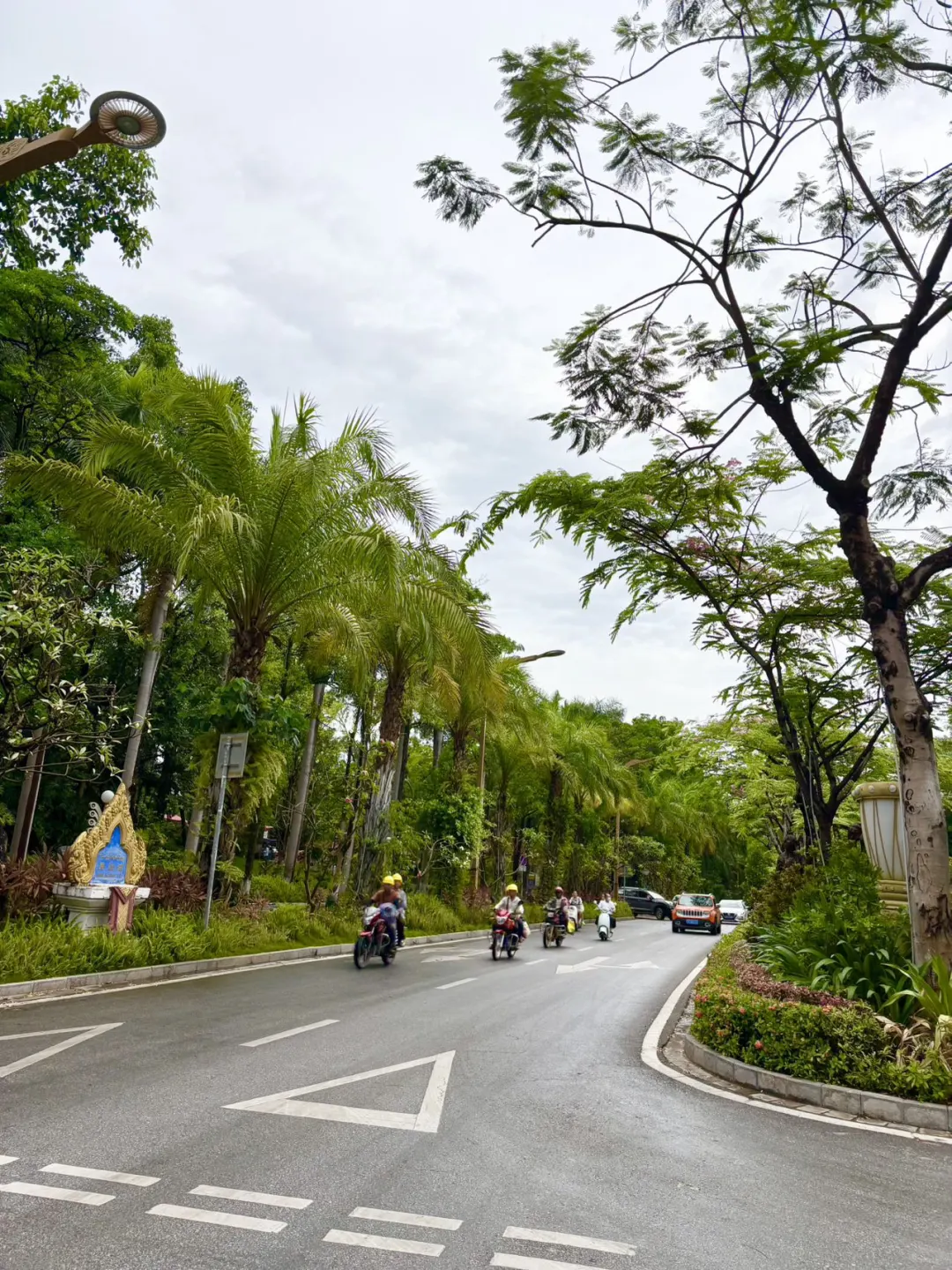 熬夜整理西双版纳5️⃣、6️⃣月旅游攻略🌴