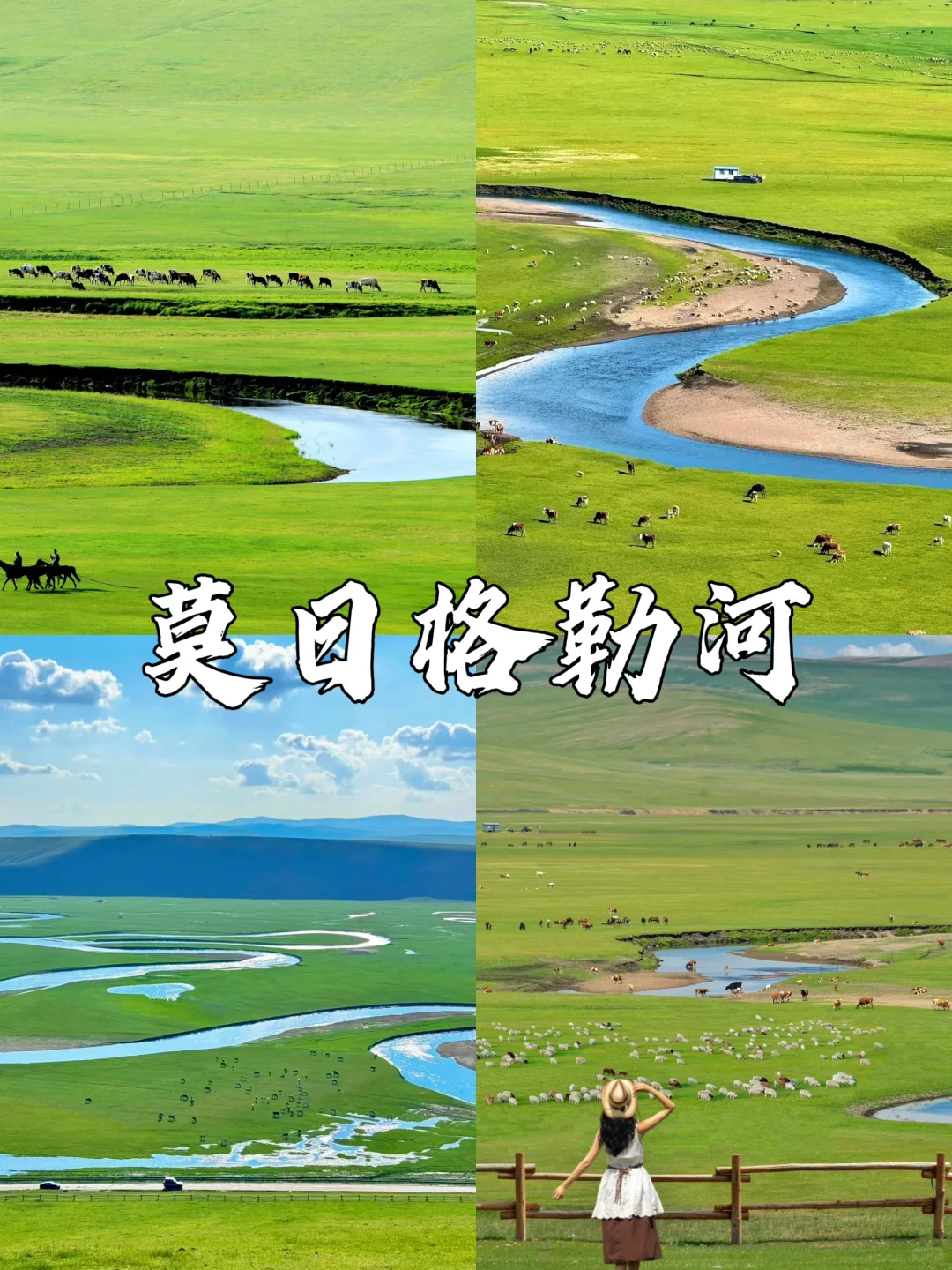 呼伦贝尔七天六晚超详细攻略💯暑假懒人版