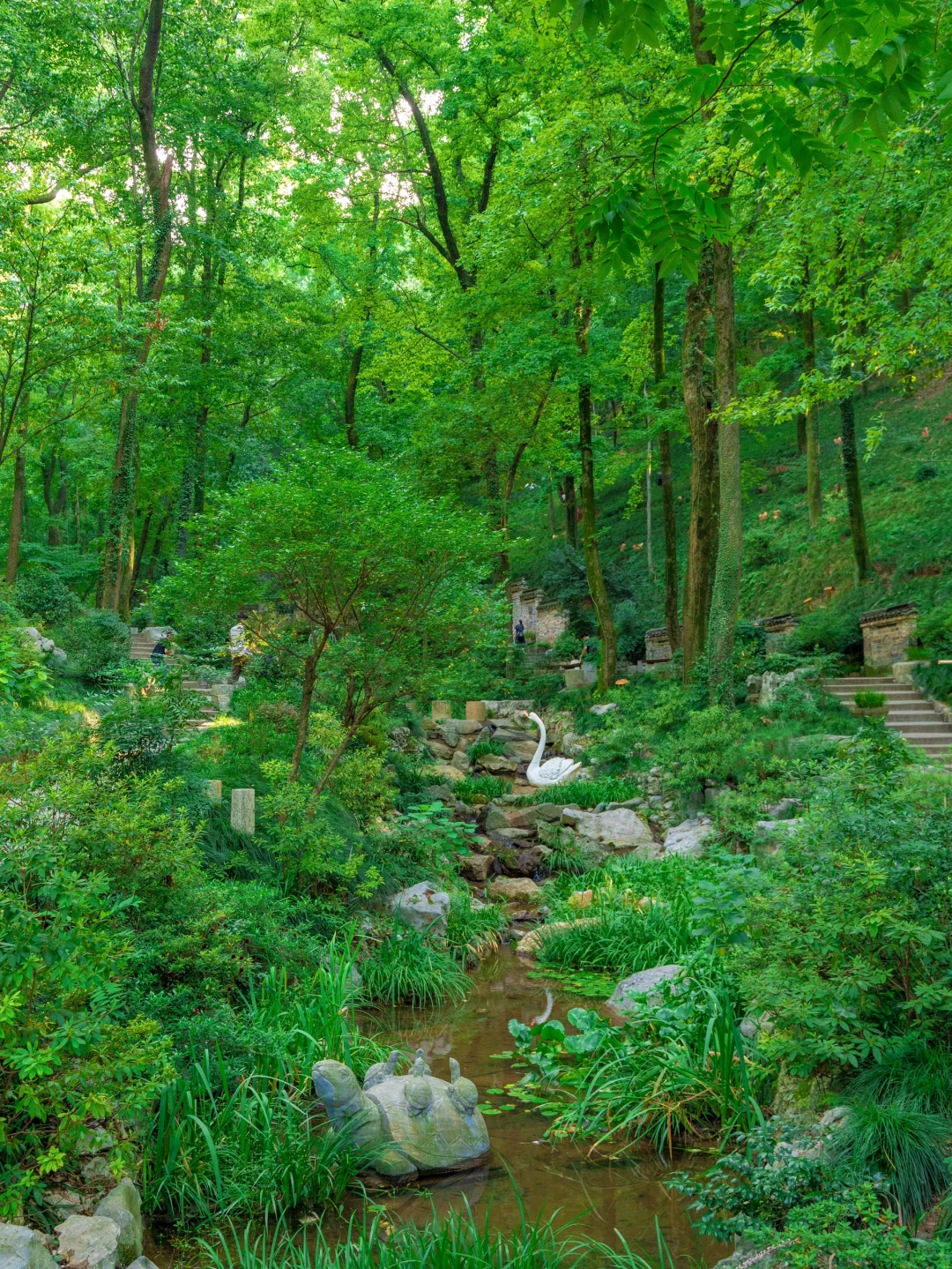 比起苏杭，我更喜爱这个夏日避暑小镇🪷