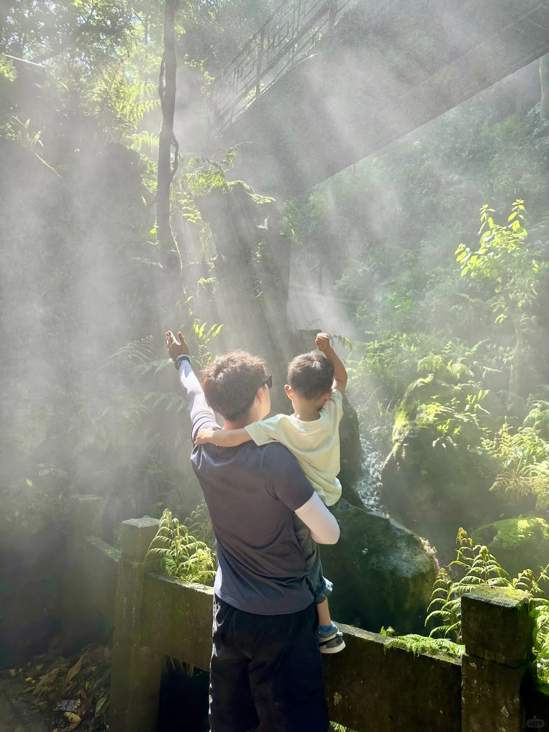 💯%出片宝藏森林秘境,避暑圣地🌴🌟🌟仙桥洞