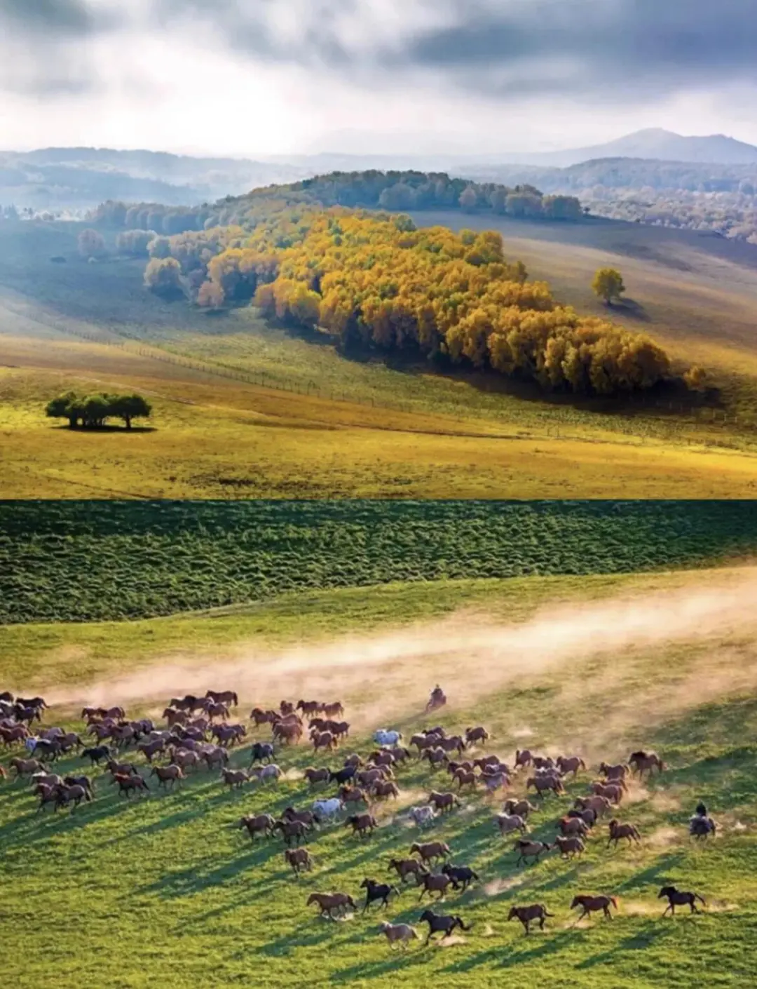 海边+林海+草原👉秦皇岛&承德旅游攻略