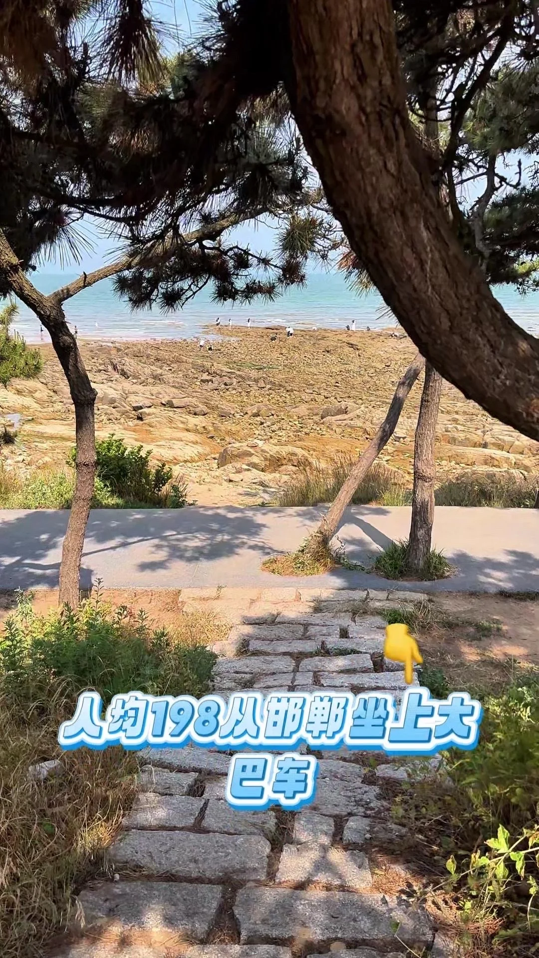 🏖️邯郸朋友的日照旅游攻略
