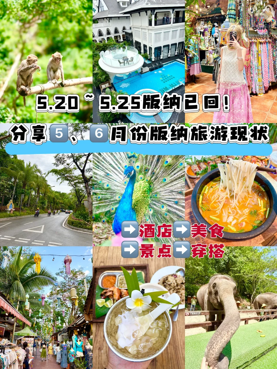 熬夜整理西双版纳5️⃣、6️⃣月旅游攻略🌴