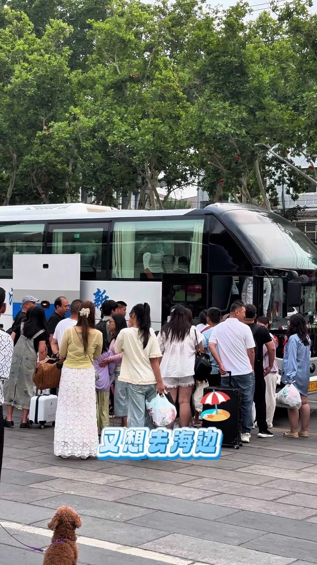 🏖️邯郸朋友的日照旅游攻略