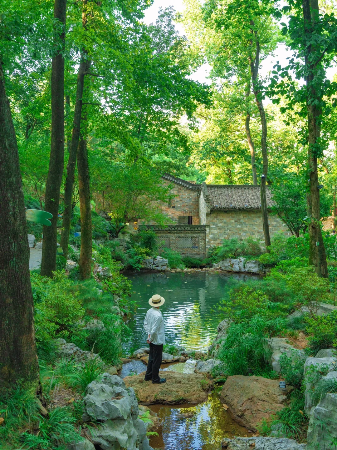 比起苏杭，我更喜爱这个夏日避暑小镇🪷