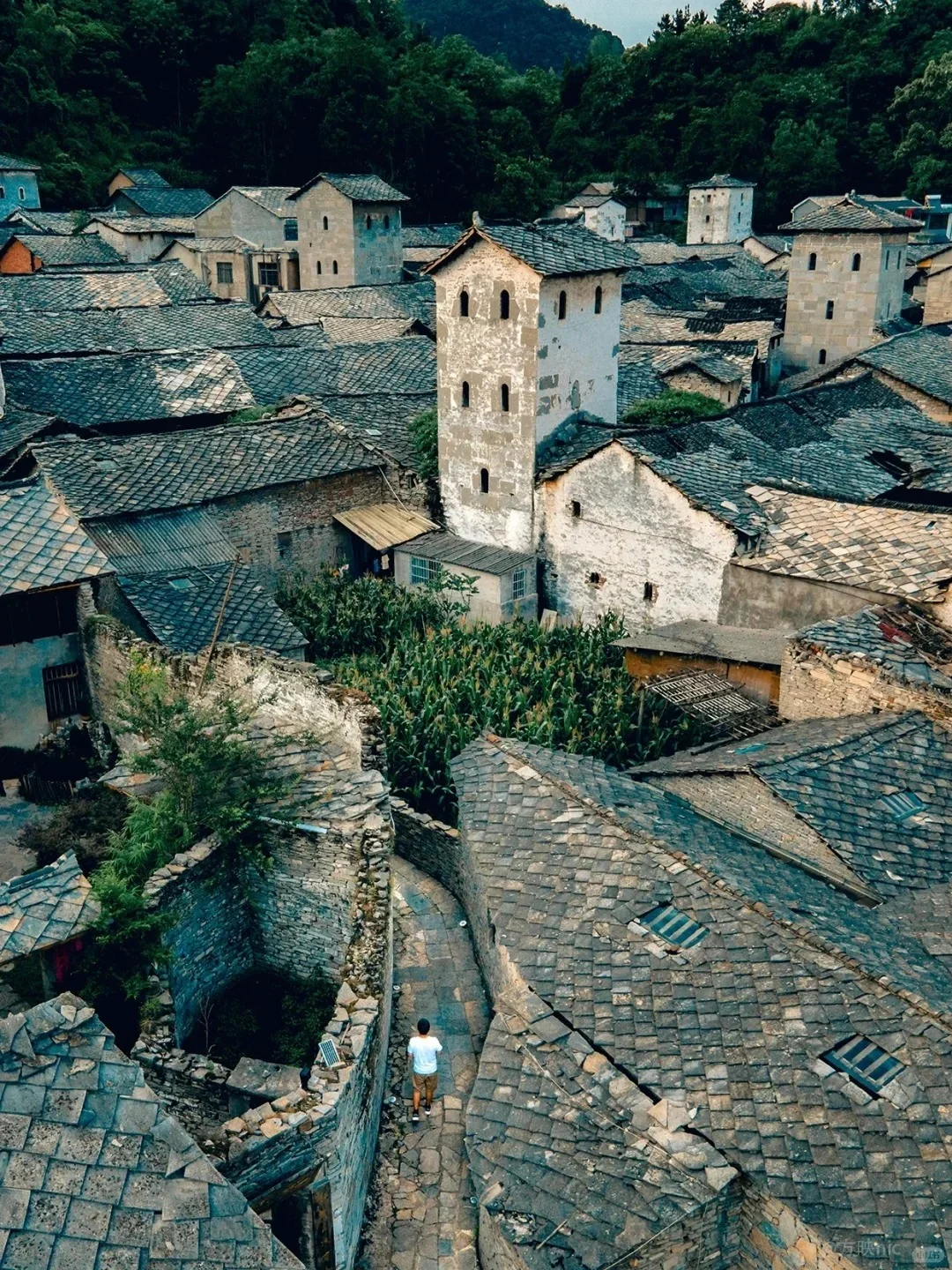 后悔才来😭这是贵州被严重低估的避暑小城