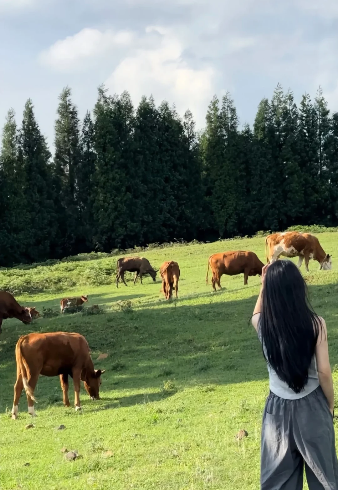 端午逃离计划！！2h直达京北“小新疆”